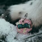 a close up of a dog's paw in the snow